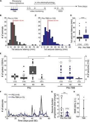 CK2 Inhibition Prior to Status Epilepticus Persistently Enhances KCa2 Function in CA1 Which Slows Down Disease Progression